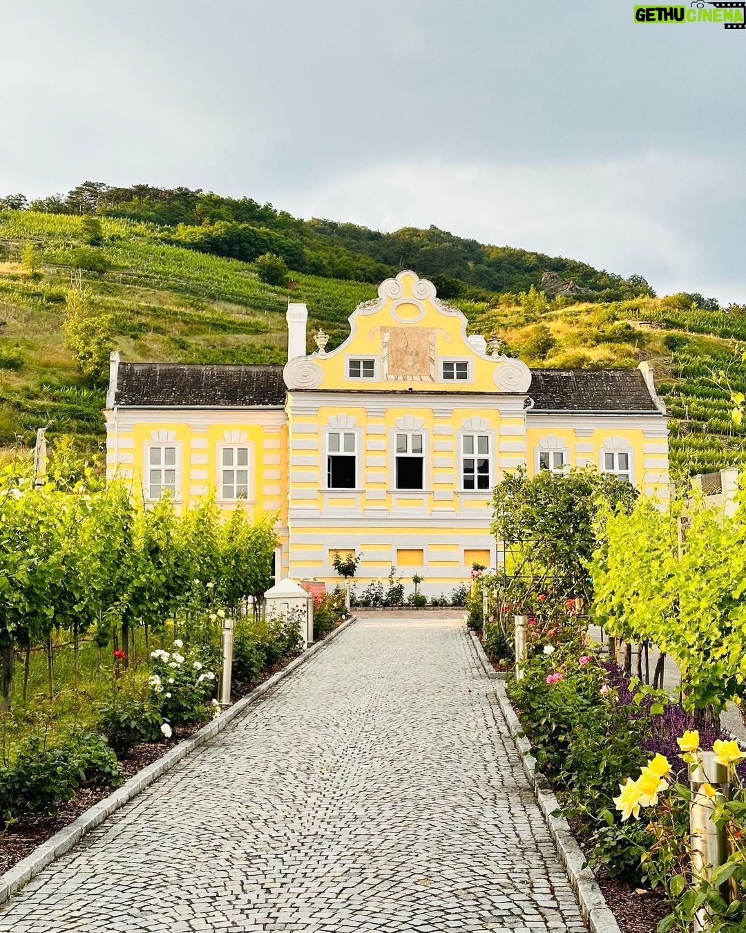 Pink Instagram - Vienna. Austria. Wachau. Beautiful people. Beautiful shows. Beautiful wines. Perfect memories that will last a lifetime. Thank you from the bottom of our hearts. 💕