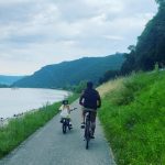 Pink Instagram - Wachau Valley wine region for a big family 20 mile bike ride through the most beautiful earth we could ever want to traverse. So grateful. 1)video of me pulling Jamo and his bike so he could take a quick Nutella pretzel snack break and ruin his clothes completely before the day even got started. We can’t have nice things. 2) me and my ride or die @reinahidalgo521 who I now call crash (check out her knee) 3) video evidence of my family getting along doing cool things - I hate that I said “ be careful”. And yeah- rentals. 4) Danube River beauty 5) is nice to have an assistant and friend @dollarsignteffi who really takes care of you and knows when you need to be put in the emotional baby carrier. 6) my heart and soul 7) I live here now and make Riesling finally 8) this is where I can be found (I wish) what an incredible day! Thank you Maria and all the ladies - your wines are delicious and my son misses your dog. @winery_fjgritsch thank you for the incredible hospitality. I hope to return the favor someday. 9) meet me in this alleyway 10) roadside small town bubble gum dispenser - genius