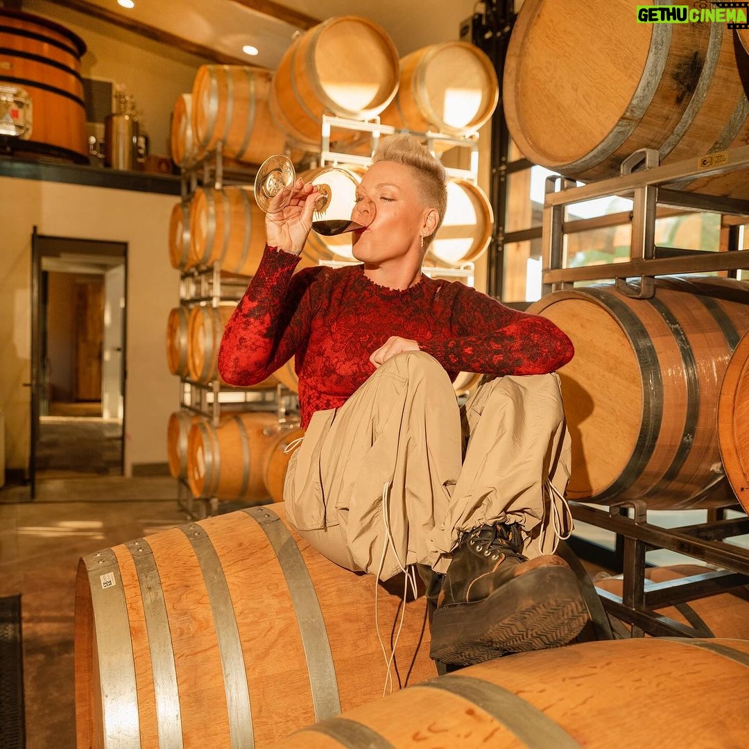 Pink Instagram - You’re not alone if you are curious how Grammy-award-winning singer-songwriter @pink ended up on the cover of Outside. When our executive director of lifestyle brands, @maryfrancesheck, pitched the idea a year ago, there were more than a few skeptics on staff. But then she explained: “Back in 2016, I cycled the coast of California, raising money for @nokidhungry with 300 other riders. I’m 250 miles in and I’m totally bonked. And then, I swear, Pink passes me on an incline.” Heck wasn’t hallucinating. Alecia Moore, otherwise known as Pink, rode with No Kid Hungry’s team to the finish line in Santa Barbara. “Pink spoke at the afterparty, thanking the riders who had raised over a million dollars to fight childhood hunger. She just came off as being so genuine, expressing sincere gratitude for the work of others, despite being super, super famous. That really stuck with me.” Fast forward to fall of 2022 and Heck and Moore met again, this time at an event where Moore’s wines were poured. “I heard her speak about her revelatory connection to the land and nature through working on the vineyard. Again, her genuine passion and gratitude for hard work struck me.” Heck, who trained as a chef and sommelier before a career in publishing, was not only impressed with the quality of the wines but also the practices underpinning Two Wolves’ single varietal, estate bottles. Heck and Moore stayed in touch, and met up again last fall at the vineyard where Heck got a firsthand look at the operation. Moore, on a break from her Summer Carnival tour, was relishing the change of pace, reconnecting with the outdoors. “My friends have never been more excited about any magazine that I’ve done anything with. They love Outside,” Moore said when they met. “We are campers, and mountain bikers, and nature people. It’s all connected.” Follow the link in our bio 🍇 to read about 𝗥𝗮𝗶𝘀𝗲 𝗬𝗼𝘂𝗿 𝗚𝗹𝗮𝘀𝘀 𝘁𝗼 𝗣𝗶𝗻𝗸—𝘁𝗵𝗲 𝗣𝗼𝗽 𝗦𝘁𝗮𝗿 𝗪𝗵𝗼 𝗥𝗼𝗰𝗸𝘀 𝗖𝗮𝗹𝗶𝗳𝗼𝗿𝗻𝗶𝗮’𝘀 𝗢𝗿𝗴𝗮𝗻𝗶𝗰 𝗪𝗶𝗻𝗲 𝗦𝗰𝗲𝗻𝗲. Photographer: @andrewmacpherson_official Writer/Interviewer: @maryfrancesheck Hair: @pamwiggy Makeup: @kathyjeung Manicure: @jolene.b.nails
