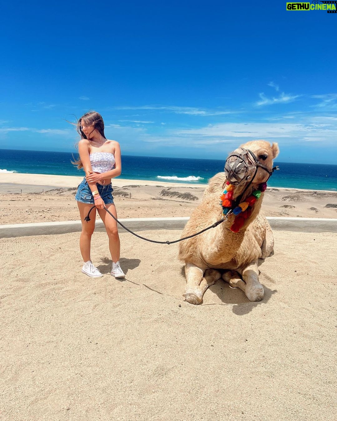 Piper Rockelle Instagram - not hump day, posting anyway…🏝️🐫 Cabo San Lucas
