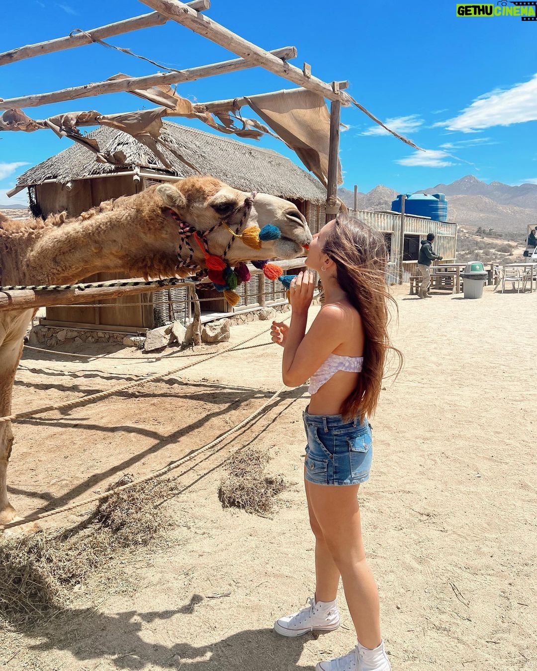 Piper Rockelle Instagram - not hump day, posting anyway…🏝️🐫 Cabo San Lucas