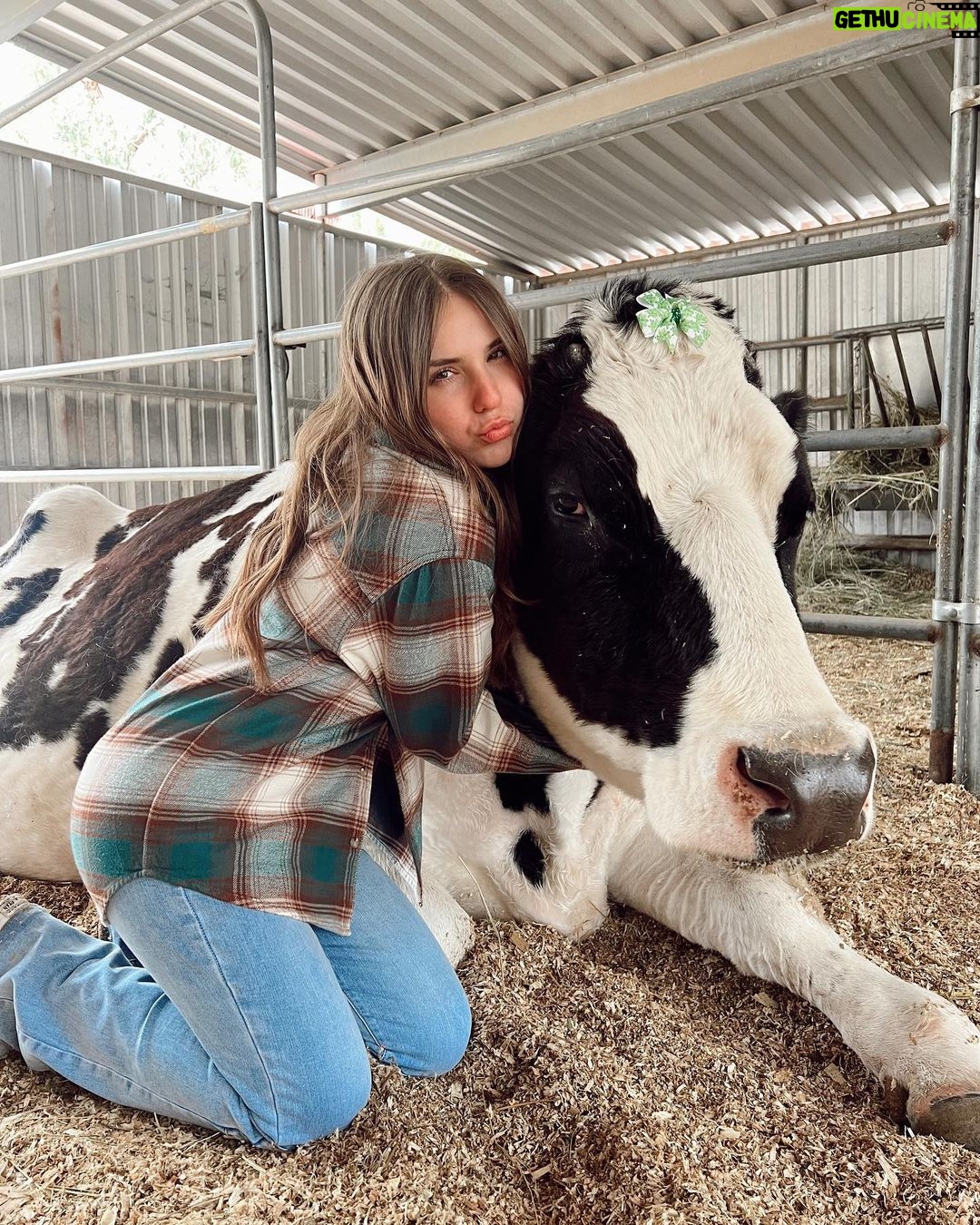 Piper Rockelle Instagram - holy cow, u should hug a cow 🐄 @thegentlebarn The Gentle Barn - Santa Clarita