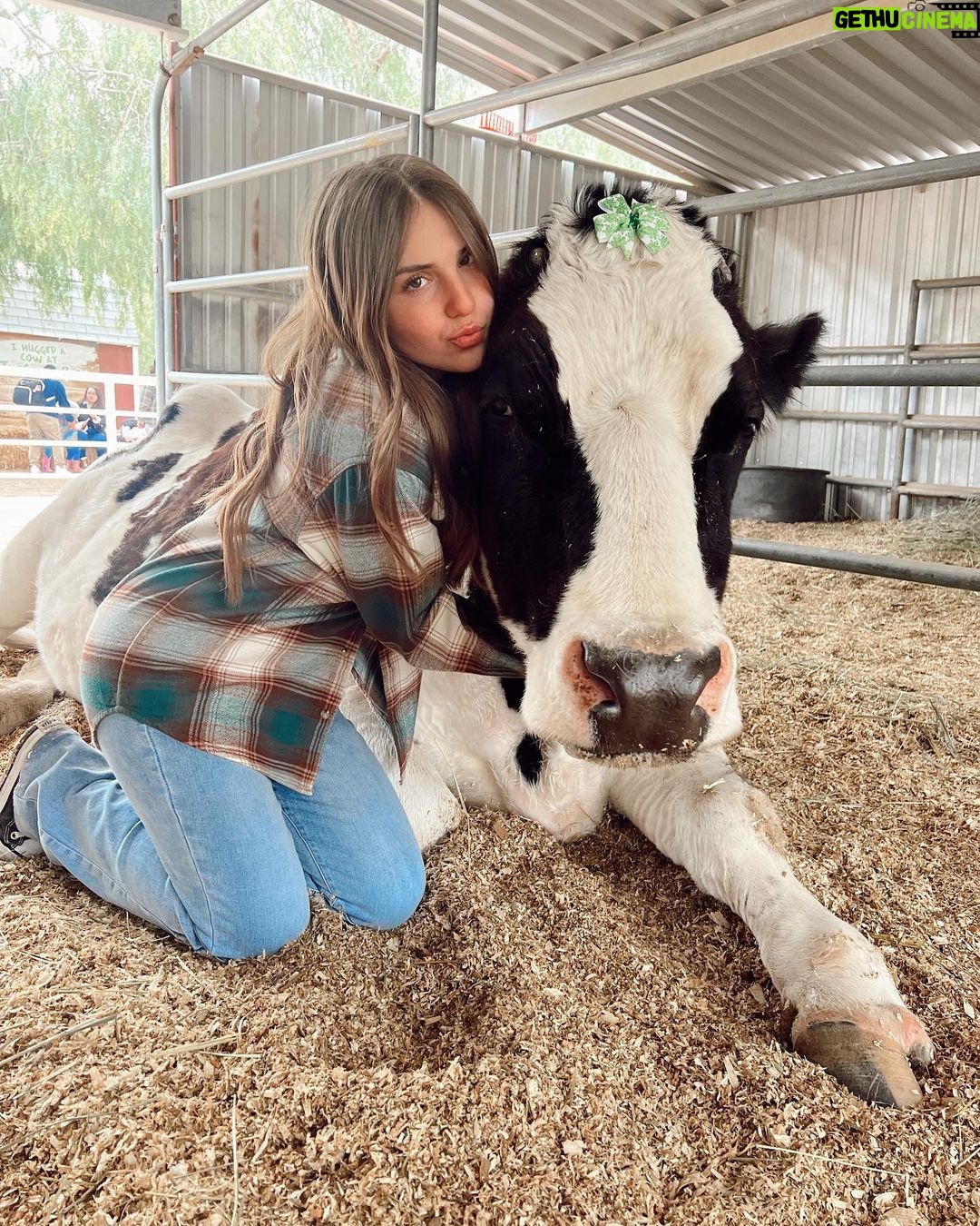 Piper Rockelle Instagram - holy cow, u should hug a cow 🐄 @thegentlebarn The Gentle Barn - Santa Clarita