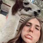 Piper Rockelle Instagram - holy cow, u should hug a cow 🐄 @thegentlebarn The Gentle Barn - Santa Clarita