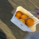 Pirapat Watthanasetsiri Instagram - One day on theEarth challenge 🌏 Ep.9 🍊 . #TheearthonEarth
