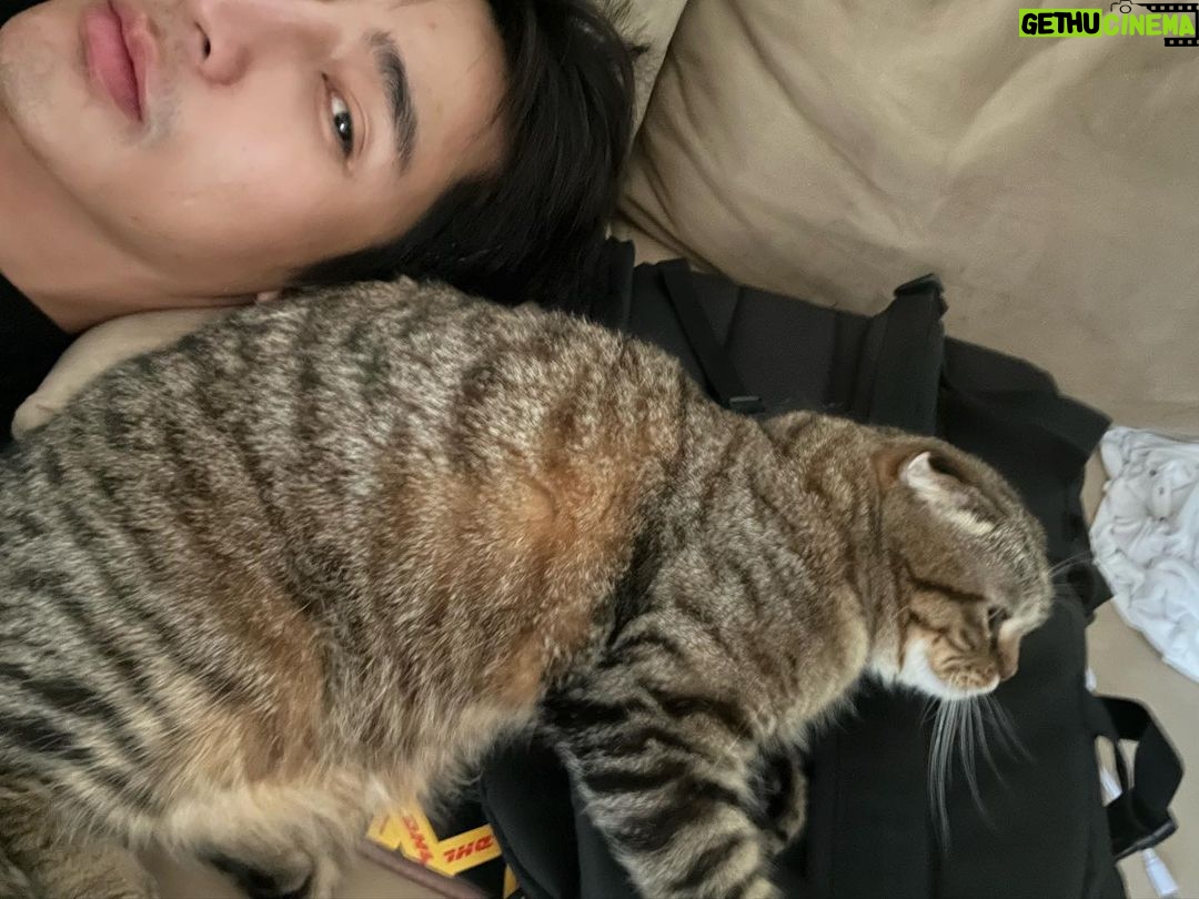 Pirapat Watthanasetsiri Instagram - 🤎