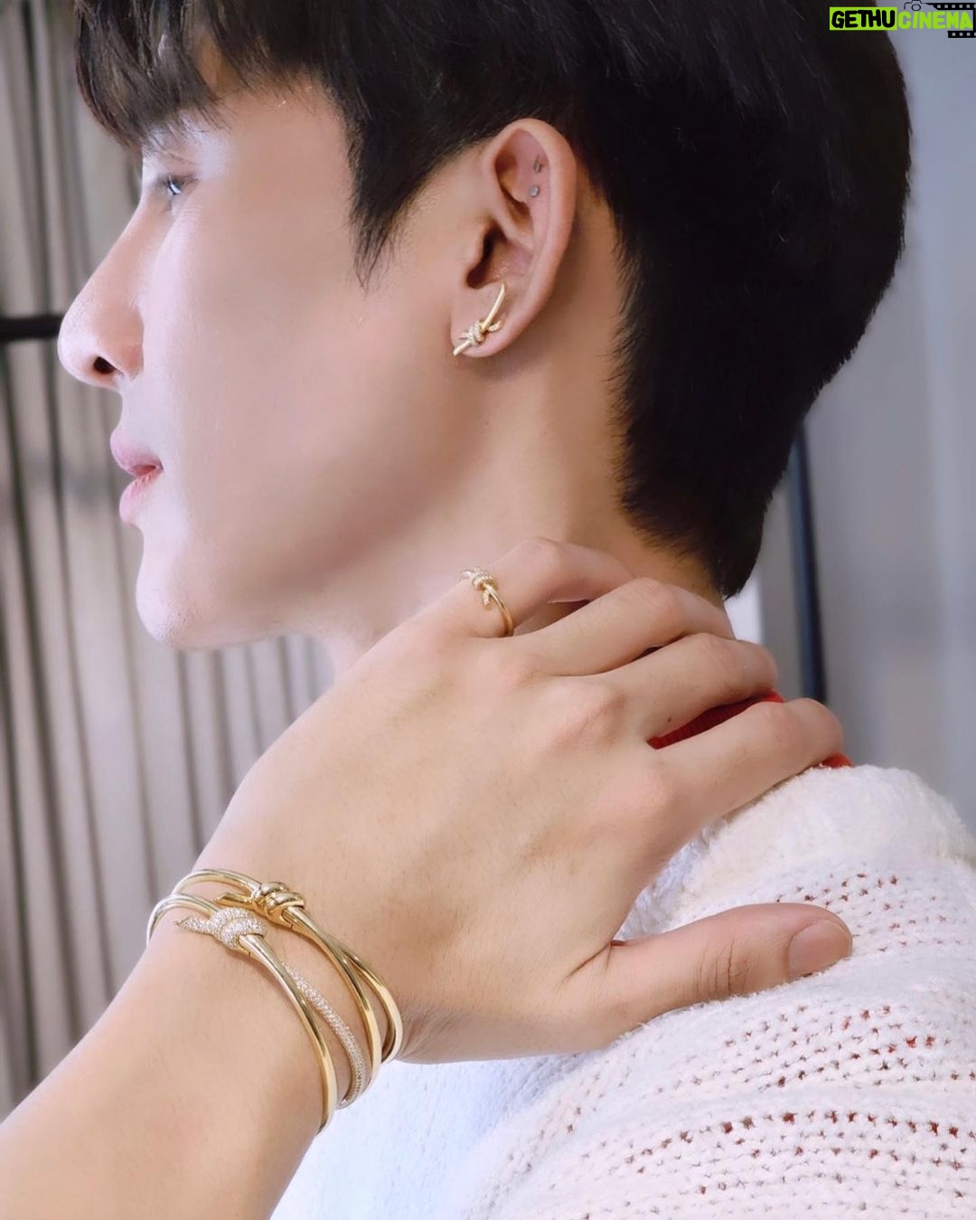 Pirapat Watthanasetsiri Instagram - 🍀 @tiffanyandco