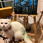 Pirapat Watthanasetsiri Instagram – ยิ่งเลอะยิ่งเยอะประสบการณ์ 😵🙄🐱
