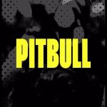 Pitbull Instagram - #JUMPIN REMIX OUT NOW. Thank you @timmytrumpet daleeee. Link in bio.
