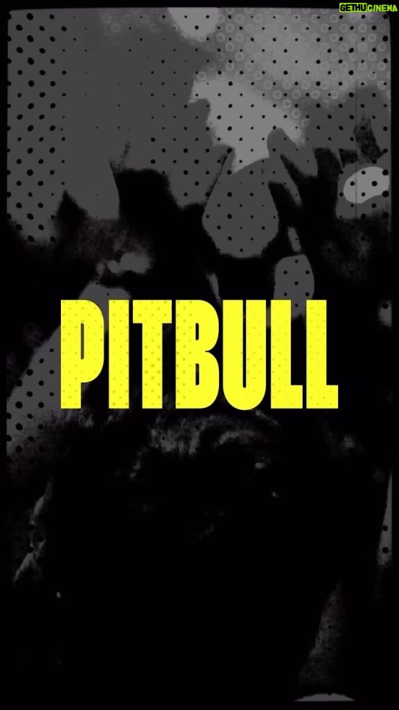 Pitbull Instagram - #JUMPIN REMIX OUT NOW. Thank you @timmytrumpet daleeee. Link in bio.
