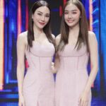 Pitchanart Sakakorn Instagram – เรามีแฝดนะรู้ยัง?!!
มีใครทายถูกบ้างคะ 🫣🫣🫣
#FACEOFFแฝดคนละฝา Workpoint Entertainment