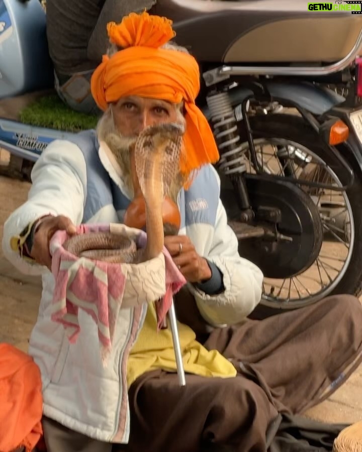 Pitchanart Sakakorn Instagram - งู กะ แขก ต้องตีใครก่อน?!! 🐍👳🏻♂️ #newdehli #india New Delhi, India