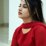 Piyanka Mongia Instagram - ग्रह हवन 🌹 SWIPE LEFT👈🏻 . . . #picoftheday #piyankamongia #piyanka_mongia #piyankamongia #keepsupporting #keepgoing #keepsmiling #keeploving #keepmotivating #kbye #picoftheday #pictureoftheday #punjab #ethnicwear #ethnic #traditional #traditionalwear