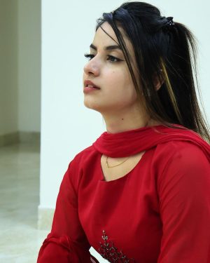 Piyanka Mongia Instagram - ग्रह हवन 🌹 SWIPE LEFT👈🏻
.
.
.
#picoftheday #piyankamongia #piyanka_mongia #piyankamongia #keepsupporting #keepgoing #keepsmiling #keeploving #keepmotivating #kbye #picoftheday #pictureoftheday #punjab #ethnicwear #ethnic #traditional #traditionalwear