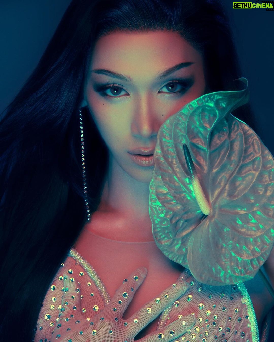 Plastique Tiara Instagram - Cánh hoa gốc việt 🌸 • Photo @tringhia_nemotion Stylist @phambaoluan Wearing @nguyentientruyen.designer Makeup @justxi1405 Hair @quan_thelittlemerman
