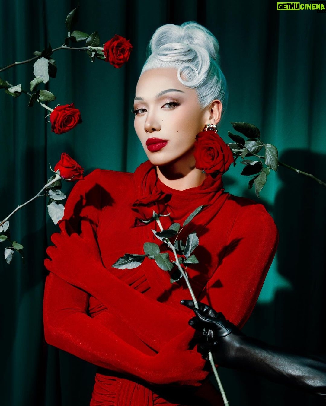Plastique Tiara Instagram All I Want For Christmas Photo tringhia plastique-tiara-instagram-all-i-want-for-christmas-photo-tringhia