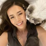 Pokimane Instagram – what’s on ur mind vs what’s on mine 💭 I love cats