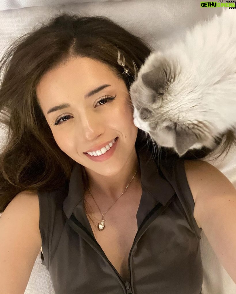 Pokimane Instagram - what's on ur mind vs what's on mine 💭 I love cats
