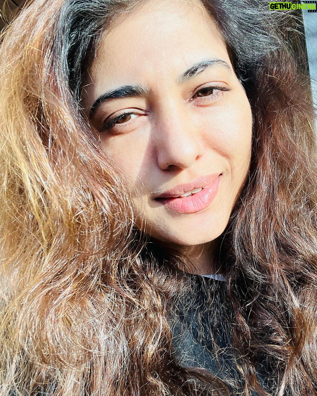 Poonam Rajput Instagram - Golden hours hits you differently! π«Άπ #sunset #happyvibes #mood #shine #goldenhourlover #glow #glowingskin #instaphoto #natural #nomakeupon #clearskin #poonamrajput #poonamrajputofficial