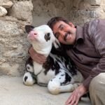 Pouria Poursorkh Instagram - قدم به قدم در راه آشتى...😂.. عكس اول: قهر كامل،راه برگشتى نيست عكس دوم :كمى نرم شده عكس سوم:قانع شدن پس از اداى توضيحات . پ.ن : تصادف ميتونست اتفاق بدى باشه..خداروشكر خوبه حالم ...ممنونم از پيگيرى هاتون...رسيده بود بلايي كه به خير گذشت...قابل توجه دوستان بشدت بانمك و با تيكه هاى بروز -سمت راستى منم-