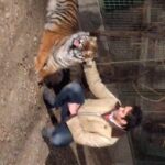 Pouria Poursorkh Instagram - تجديد خاطره با مايا خانوم مهربون🐅... پيشاپيش اگر گردنتون درد گرفت عذر ميخوام😎 پ.ن : بر اساس اخرين تحقيقات اگر گوشيتون رو بچرخونيد گردنتون درد نميگيره... با تشكر از محققين مربوطه كه از آسايششون ميگذرن تا ما در آسايش زندگي كنيم💝😂