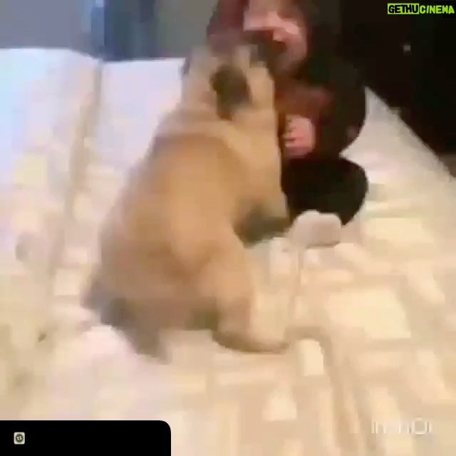 Pouria Poursorkh Instagram - 😍😍😂زور نزن آخه اينقدر ...