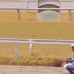 Pouria Poursorkh Instagram - . اين ويديو هاي فيكى كه جديداً داره تو فضاى مجازى كار ميشه هم يجورى آدم رو حيرتزده ميكنه و به تحسين وا ميداره هم يجورايي ترسناكه...روراست خيلى با اين تكنيك ها آشنا نبودم و از ديدنش هيجانزده شدم😳