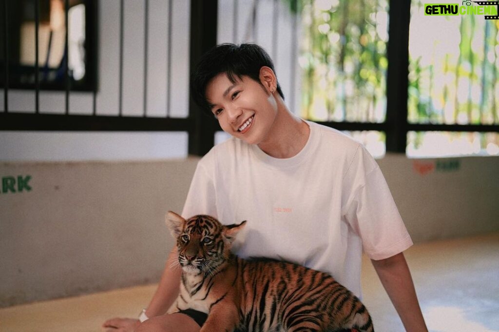 Prachaya Ruangroj Instagram - Your mistake was to think that I'm one of your cats. 😏