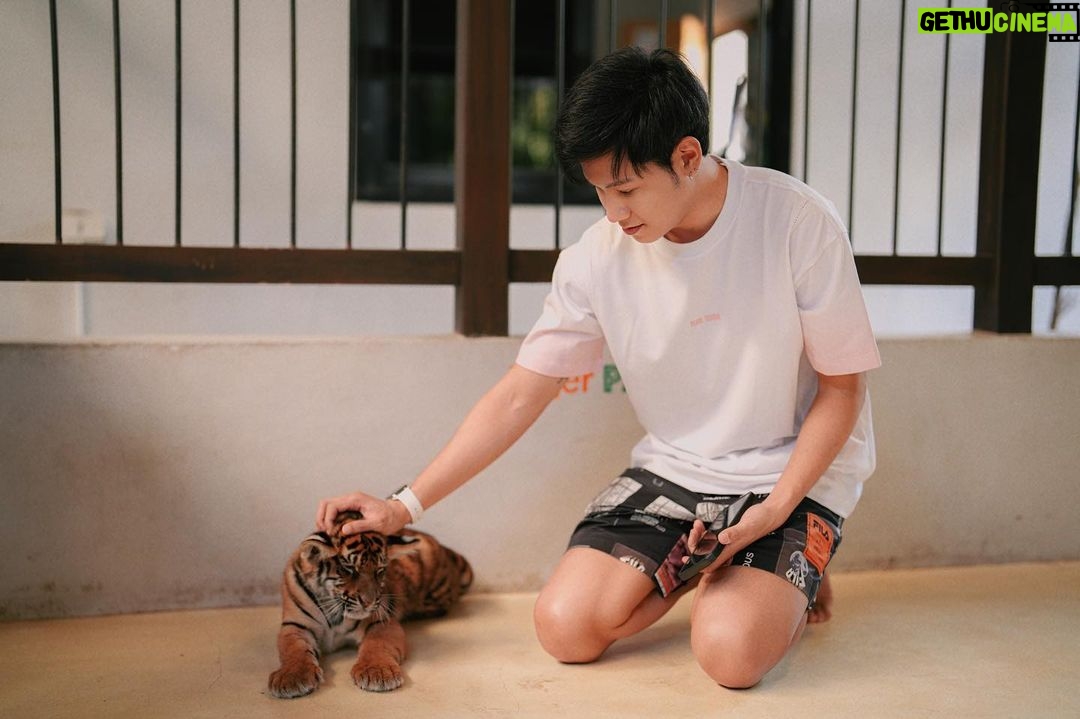 Prachaya Ruangroj Instagram - Your mistake was to think that I'm one of your cats. 😏