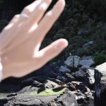 Prin Suparat Instagram - Wow life #airmilford @airmilford @landmark_0fficial Milford Sound, Fiordland