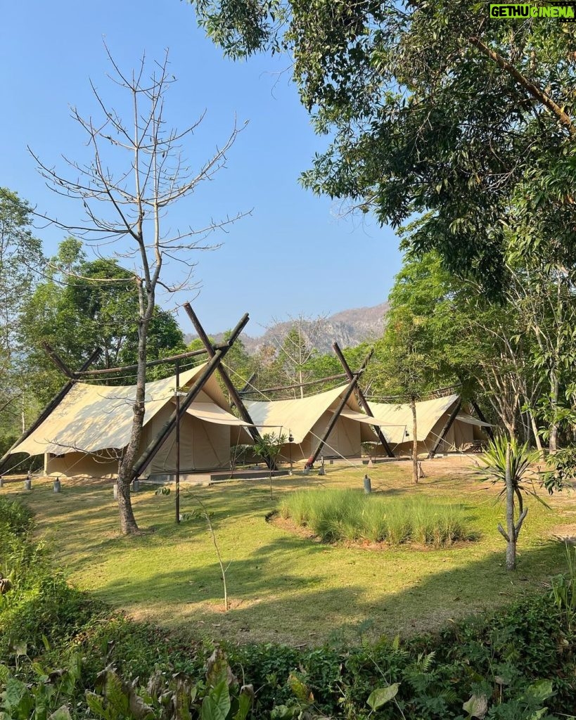Prin Suparat Instagram - Have a great day. เมื่อคืนได้นอนฟังเสียงนกเสียงแมลง เสียงลม เสียงใบไม้ไหว เสียงในหัวตัวเอง เพลินมากเลยครับ 🍂 Lalamukha Tented Resort Khao Yai