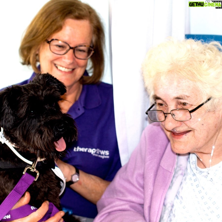 Prince Harry, Duke of Sussex Instagram - As we continue to reflect on some of the organisations supported by The Duke and Duchess of Sussex, today we wanted to share more about @TheMayhew, an animal welfare charity which The Duchess became Patron of earlier this year. Mayhew believes in the power of community and the special bond between humans and animals, which is why their programming does not simply focus on rescuing animals but rather takes a more holistic approach to shaping the lives of pets and humans, alike. Their TheraPaws dogs and volunteers now visit not just care homes and hospitals, but also mental health facilities and youth groups – expanding the benefits of animal assisted therapy into much needed areas. They also work with the homeless community assisting with treatments and check ups for their pets so that the most vulnerable can trust that their pet will remain by their side. This year, Mayhew has continued its specialized work overseas, vaccinating more than 30,000 dogs against rabies and other diseases, and empowering locals to improve animal welfare humanely and sustainably. The Duchess is also proud that they are creating opportunities for women, with the female led vet team in Kabul neutering 2,500 dogs so far this year. As a long-time rescue dog owner, The Duchess of Sussex is proud to be Mayhew’s Patron and applauds them for the vital work that they do every day. Please visit @TheMayhew to learn more, as Mayhew continue their very important contribution to the community for all of us and the pets we hold dear. Photo © PA / Ivan Flores / Tamara Yoxall