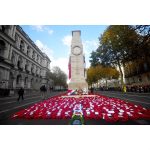 Prince Harry, Duke of Sussex Instagram - Today, The Duke and Duchess of Sussex joined Her Majesty The Queen and members of @TheRoyalFamily at the National Service of Remembrance at the Cenotaph to commemorate and honour the men and women who have lost their lives in conflict. As shared at last night’s Festival of Remembrance, this quote embodies the sacrifice of those that serve: • “When you go home, tell them of us and say, for your tomorrow, we gave our today.” • For more details of this week of Remembrance and their Royal Highness’s recognition for those who serve, please see previous posts. #WeWillRememberThem #Remembrance Photo © PA