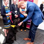 Prince Harry, Duke of Sussex Instagram - Today, on World Mental Health Day, The Duke of Sussex returned to St Ann’s, Nottingham, to reunite with members of two community youth initiatives he’s been supporting for many years - EPIC Partners mentoring at Nottingham Academy and Community Recording Studio (CRS). At Nottingham Academy, HRH spoke with several of the youth he’s met on previous visits who are now mentoring younger students to ensure they’re managing their mental health both at school and at home. The Duke took part in the school assembly, where they talked about managing stress at every level and he shared his own thoughts on the importance of good mental health. There was also a fun visit with a therapy dog who supports students who feel reluctant to read, and allows them to garner more self confidence. The visit ended at the Community Recording Studio (CRS) in St Ann’s, a youth organisation that teaches video and music skills, allowing a creative outlet for self expression. The members recently created a Hip Hopera titled ‘Mental’ – a musical that explores mental illness through drama, spoken word and song. Overall a very special day celebrating community and seeing how we can all play a part in supporting each other’s wellbeing and mental health. #WMHD Photo©️PA Images