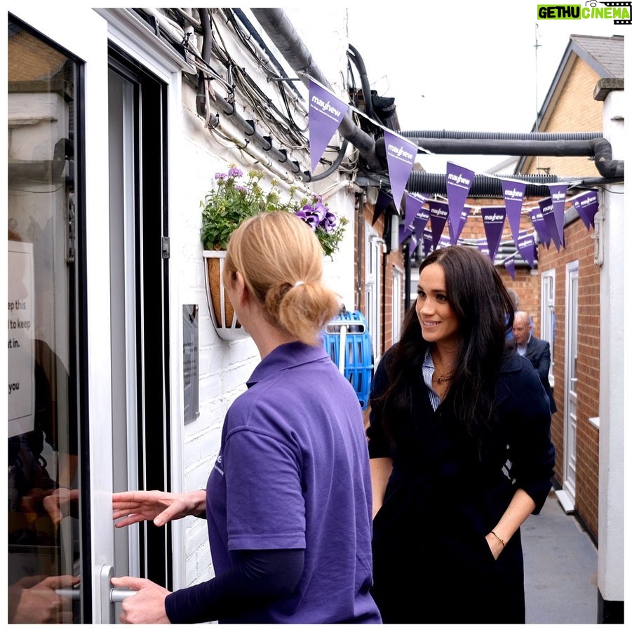 Prince Harry, Duke of Sussex Instagram - Earlier this month, The Duchess of Sussex popped in to see the amazing people at Mayhew to hear about the incredible progress made throughout the festive period. The Duchess of Sussex, having been proud patron of Mayhew since January 2019 and long understanding the connection between animal and community welfare, applauds the people at Mayhew for the vital work that they do every day. From cats and dogs who have found new homes to animal welfare cases handled in the community - @TheMayhew believes in the power of togetherness and the special bond between humans and animals. Image © SussexRoyal