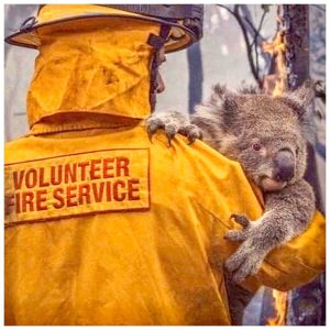 Prince Harry, Duke of Sussex Instagram - Our thoughts and prayers are with those across Australia who are continuing to face the devastating fires that have been raging for months.

From areas we are personally connected to such as the communities and people we visited in New South Wales in 2018, to the fires in California and parts of Africa, we are struck by the increasingly overlapping presence of these environmental disasters, including of course the destruction of the Amazon which continues.

This global environmental crisis has now been described as Ecocide. It’s easy to feel helpless, but there’s always a way to help.

To find out how you can lend your support, please see the links below to help as we have.

https://fundraise.redcross.org.au/drr (@redcrossau)

https://www.rfs.nsw.gov.au/about-us/fundraising (@nswrfs)

https://www.cfa.vic.gov.au/about/supporting-cfa#donate-cfa

Photo © @nswrfs / @dale_appleton / Jay Elai
