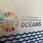 Princess Eugenie Instagram - The @unitednations second Ocean 🌊 Conference took place last week and I was lucky enough to go to listen and learn about what's happening across the world, the importance of our healthy oceans and all the things we can do to help it survive and flourish. Sometimes it's easy to feel helpless so I wanted to share just some of the actions and promises from the conference as examples of how we can work together for a flourishing ocean: - 100+ countries have pledged to 30x30, a campaign to protect 30% of the Worlds Oceans by 2030 - Aruba will expand their marine park to an island-round marine protected area - Australia is committing $1.2 billion to preserving and restoring the Great Barrier Reef. - Belize will protect 30% of their marine area by 2030. - Greece committed to reduce single use plastic beverage and food containers by 60% by 2026; cutting plastic litter in the ocean by 50% by 2030. - Monaco is protecting Mediterranean Monk Seals and their habitats. - The UK has pledged £150m to COAST - @btwaves found the largest sea grass meadow on earth across the Great Bahama Banks thanks to some epic collaborators, tiger sharks! Sea Grass captures a huge amount of carbon we produce. 🐳🐋🌊🎣🐟🐠🐡❤️👏🏻❤️
