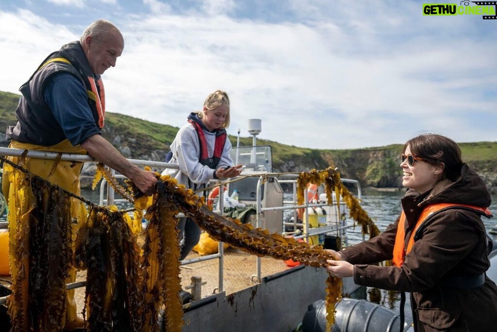 Princess Eugenie Instagram - Today is #worldoceansday a day we have to herald the ocean for the amazing place it is. Yesterday I was lucky enough to be on the Welsh coast visiting @car_y_mor site in Wales. This regenerative ocean farm, supported by @wwf_uk is such a wonderful volunteer supported, community owned project that looks to deliver no-input, low-impact marine farming. Farming seaweed is a very efficient way to produce nutritious food (the seaweed burger was particularly good), fertilise crops and feed animals as well as giving new habitats to marine life. WWF's seaweed solutions project aims to accelerate the growth of regenerative ocean farming to improve biodiversity, sequester carbon and to provide products for use in food, feed and bioplastics. Thank you to you all for such a wonderful day on our special ocean @wwf_uk @car_y_mor @pcfcic @falcon_boats