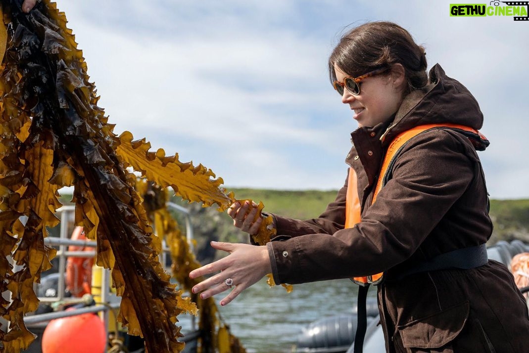 Princess Eugenie Instagram - Today is #worldoceansday a day we have to herald the ocean for the amazing place it is. Yesterday I was lucky enough to be on the Welsh coast visiting @car_y_mor site in Wales. This regenerative ocean farm, supported by @wwf_uk is such a wonderful volunteer supported, community owned project that looks to deliver no-input, low-impact marine farming. Farming seaweed is a very efficient way to produce nutritious food (the seaweed burger was particularly good), fertilise crops and feed animals as well as giving new habitats to marine life. WWF's seaweed solutions project aims to accelerate the growth of regenerative ocean farming to improve biodiversity, sequester carbon and to provide products for use in food, feed and bioplastics. Thank you to you all for such a wonderful day on our special ocean @wwf_uk @car_y_mor @pcfcic @falcon_boats