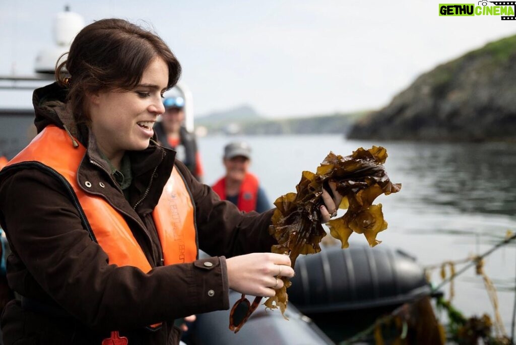 Princess Eugenie Instagram - Today is #worldoceansday a day we have to herald the ocean for the amazing place it is. Yesterday I was lucky enough to be on the Welsh coast visiting @car_y_mor site in Wales. This regenerative ocean farm, supported by @wwf_uk is such a wonderful volunteer supported, community owned project that looks to deliver no-input, low-impact marine farming. Farming seaweed is a very efficient way to produce nutritious food (the seaweed burger was particularly good), fertilise crops and feed animals as well as giving new habitats to marine life. WWF's seaweed solutions project aims to accelerate the growth of regenerative ocean farming to improve biodiversity, sequester carbon and to provide products for use in food, feed and bioplastics. Thank you to you all for such a wonderful day on our special ocean @wwf_uk @car_y_mor @pcfcic @falcon_boats