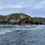 Princess Eugenie Instagram - Today is #worldoceansday a day we have to herald the ocean for the amazing place it is. Yesterday I was lucky enough to be on the Welsh coast visiting @car_y_mor site in Wales. This regenerative ocean farm, supported by @wwf_uk is such a wonderful volunteer supported, community owned project that looks to deliver no-input, low-impact marine farming. Farming seaweed is a very efficient way to produce nutritious food (the seaweed burger was particularly good), fertilise crops and feed animals as well as giving new habitats to marine life. WWF's seaweed solutions project aims to accelerate the growth of regenerative ocean farming to improve biodiversity, sequester carbon and to provide products for use in food, feed and bioplastics. Thank you to you all for such a wonderful day on our special ocean @wwf_uk @car_y_mor @pcfcic @falcon_boats