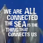 Princess Eugenie Instagram – Mele is an incredible advocate for the ocean, and she reminded me how the health of our oceans is a global issue – and small island communities are often reliant on our ocean health @ikatongatauati