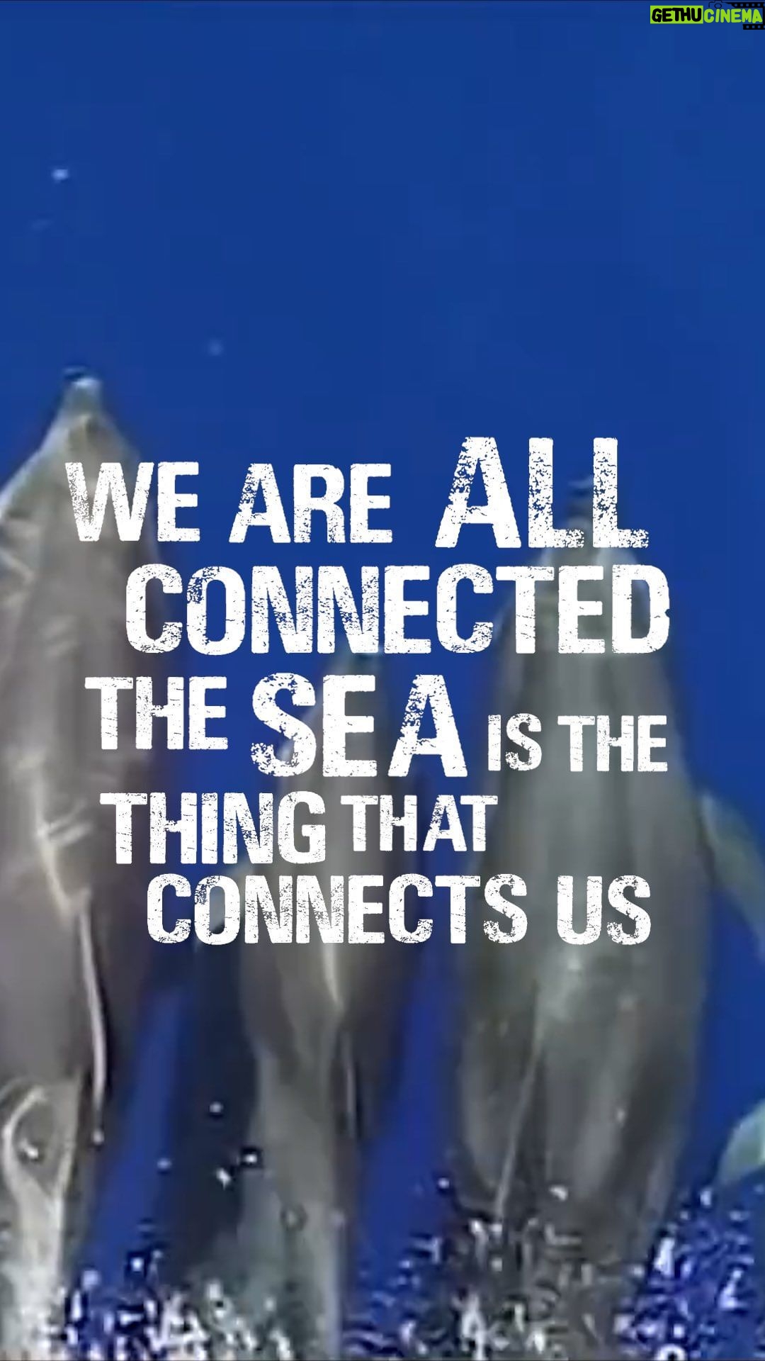 Princess Eugenie Instagram - Mele is an incredible advocate for the ocean, and she reminded me how the health of our oceans is a global issue - and small island communities are often reliant on our ocean health @ikatongatauati