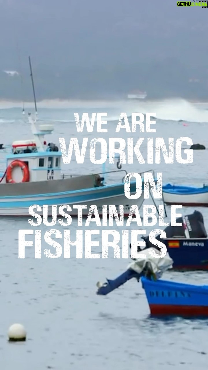 Princess Eugenie Instagram - In the first episode I am joined by @hugotagholm who is the exec director and VP of @oceana in the UK. He is a keen advocate for ocean campaigning.