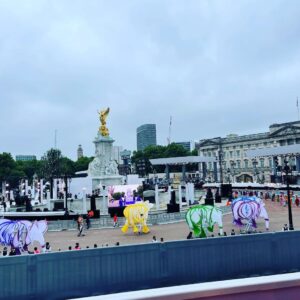 Princess Eugenie Instagram - The Platinum Jubilee Pageant was just incredible. To all the people that took part, organised it, made it flawless for us all watching, THANK YOU. You made us all so proud.
