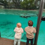 Princess Eugenie Instagram - It's World Earth Day and today is all about celebrating our planet and people doing amazing things that help protect it. Photo 1: August and his cousin Sienna love going to the London Zoo. It's part of the Zoological Society of London @zsllondonzoo a global wildlife conservation charity that helps to restore habitats and protect wildlife. Every time you visit you are supporting their work. Photo 2 and 3: check out @bbcearthexperience that is located in a totally sustainable building dedicated to the BBC's Natural History Unit's footage of our earth. Their vision is to inspire visitors to protect the planet through this immersive experience. Photo 4 and 5: who knew oysters were so cool.. one oyster can clean up to 200L of water a day. @bluemarinefoundation are leading an initiative called @solentseascapeproject which is restoring coastal marine life with a collection of partners making it one of the most ambitious environmental projects in the UK! Photo 6: Because I love them and they love nature.