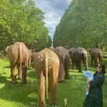 Princess Eugenie Instagram - A giant herd of 100+ elephants has arrived in Green Park to share their @coexistence.story with London this summer. As a Patron of @elephantfamily and an honorary Matriarch it’s my pleasure to share this journey with you. Within The Tea Timers herd is a wonderful baby elephant called Assam August - and it was such a pleasure to take my August to meet him 🐘