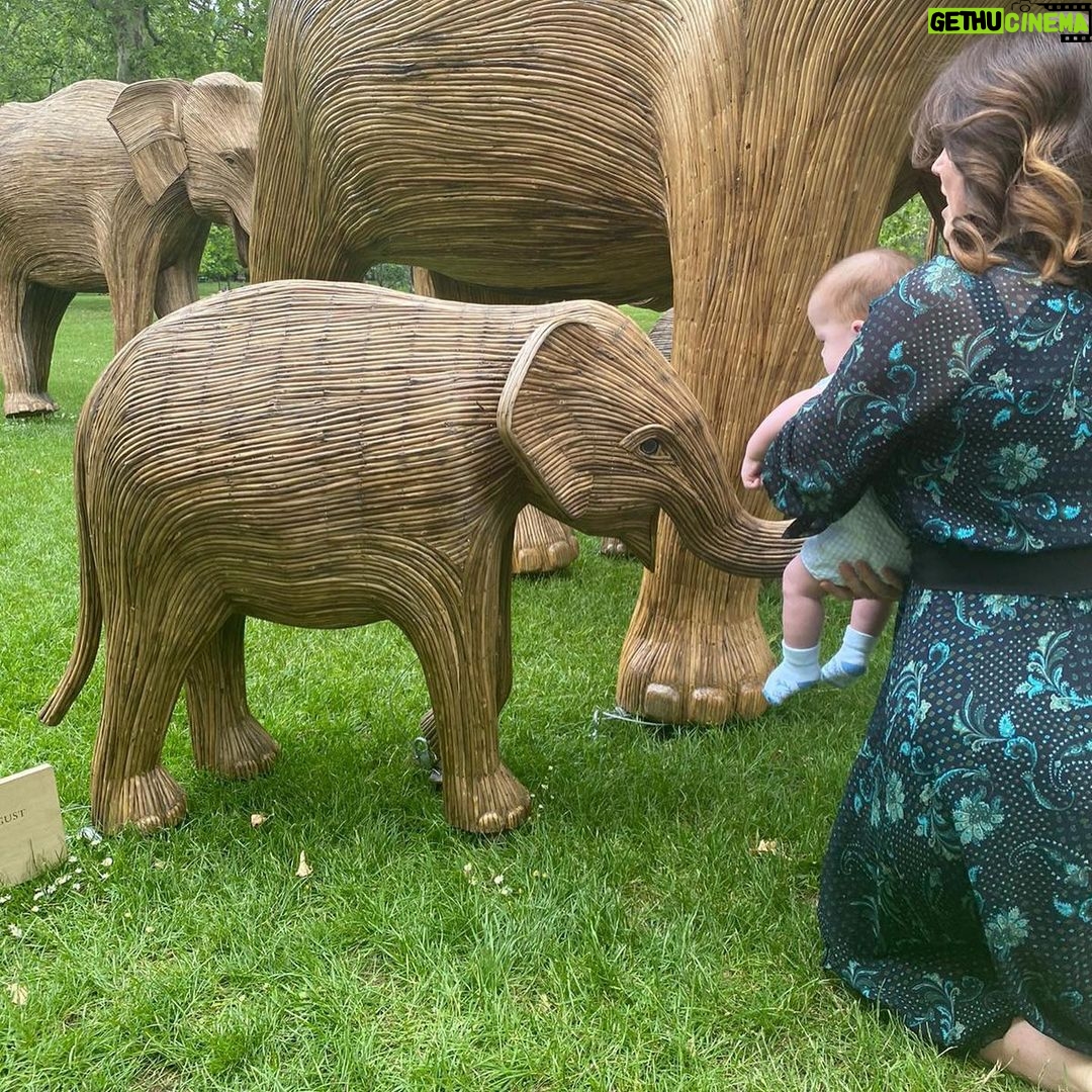 Princess Eugenie Instagram - A giant herd of 100+ elephants has arrived in Green Park to share their @coexistence.story with London this summer. As a Patron of @elephantfamily and an honorary Matriarch it’s my pleasure to share this journey with you. Within The Tea Timers herd is a wonderful baby elephant called Assam August - and it was such a pleasure to take my August to meet him 🐘