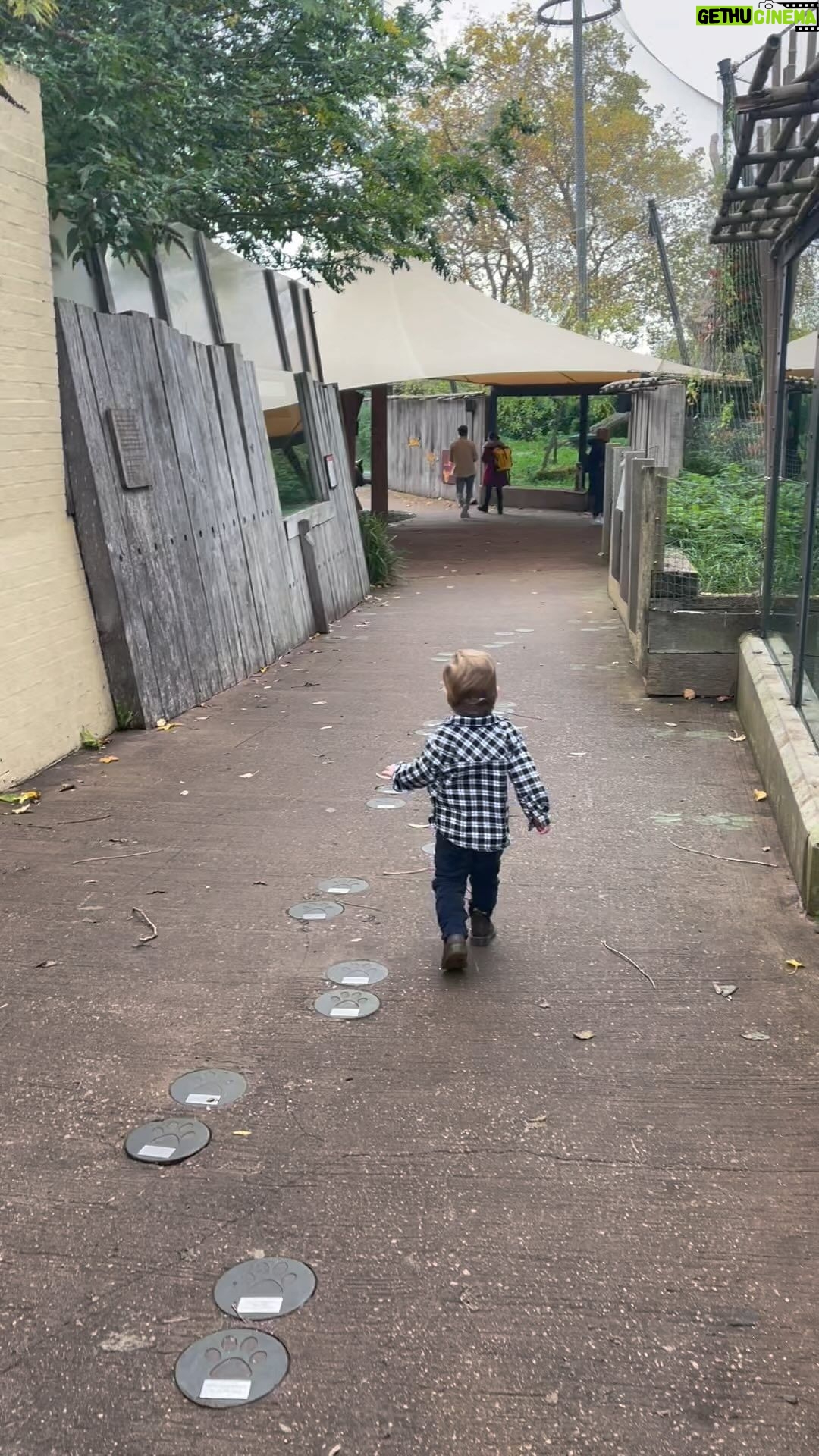 Princess Eugenie - 212K Likes - Happy 2nd Birthday to our boy Augie.. you are our worlds greatest joy. Keep dancing and smiling my angel. Xx
