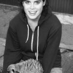 Princess Eugenie Instagram - I was lucky enough to go to @mogowildlifepark in 2009 whilst visiting my Aunt in Australia. It was such an incredible experience to be with the animals and meet such a dedicated team of people supporting these magnificent creatures. Mogo Wildlife Park reopened this past weekend after the devastating bushfires threatened the park and lives of the keepers and animals. Chad Staples, the zoo’s director, received a text "leave now to the east towards the beach and shelter in place", but he and his team chose instead to stay and fight the fire to save the park. I'm in awe of how human determination and drive can overcome such terrifying circumstances and I wanted to share this story of hope after what Australia has been through. All my thoughts have been and are with all those who are affected by the fires in Australia. @mogowildlifepark @zookeeper_chad